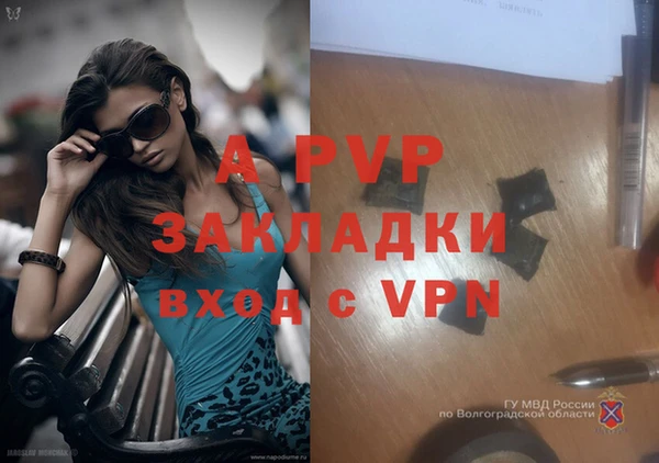СК Медвежьегорск
