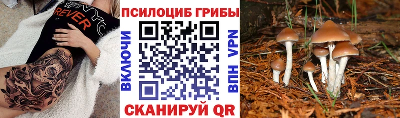 Купить  Закаменск  Псилоцибиновые грибы прущие грибы 